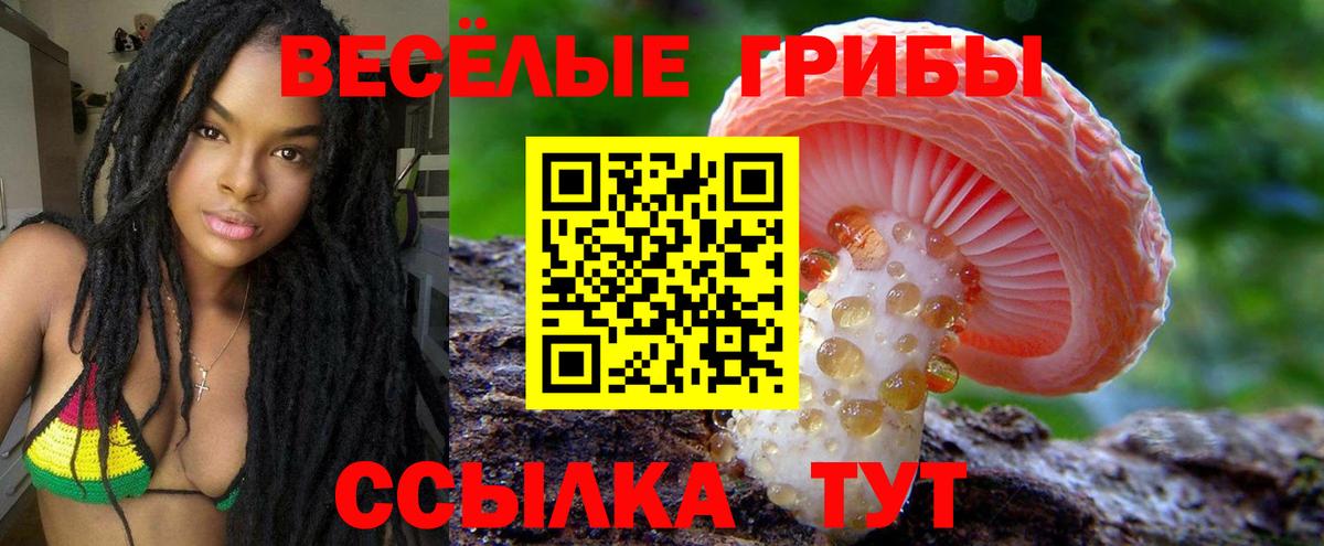 Псилоцибиновые грибы ЛСД Звенигород