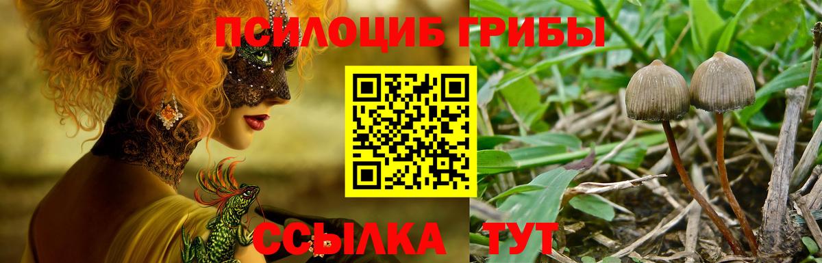 Галлюциногенные грибы MAGIC MUSHROOMS  Вход с VPN  Звенигород 